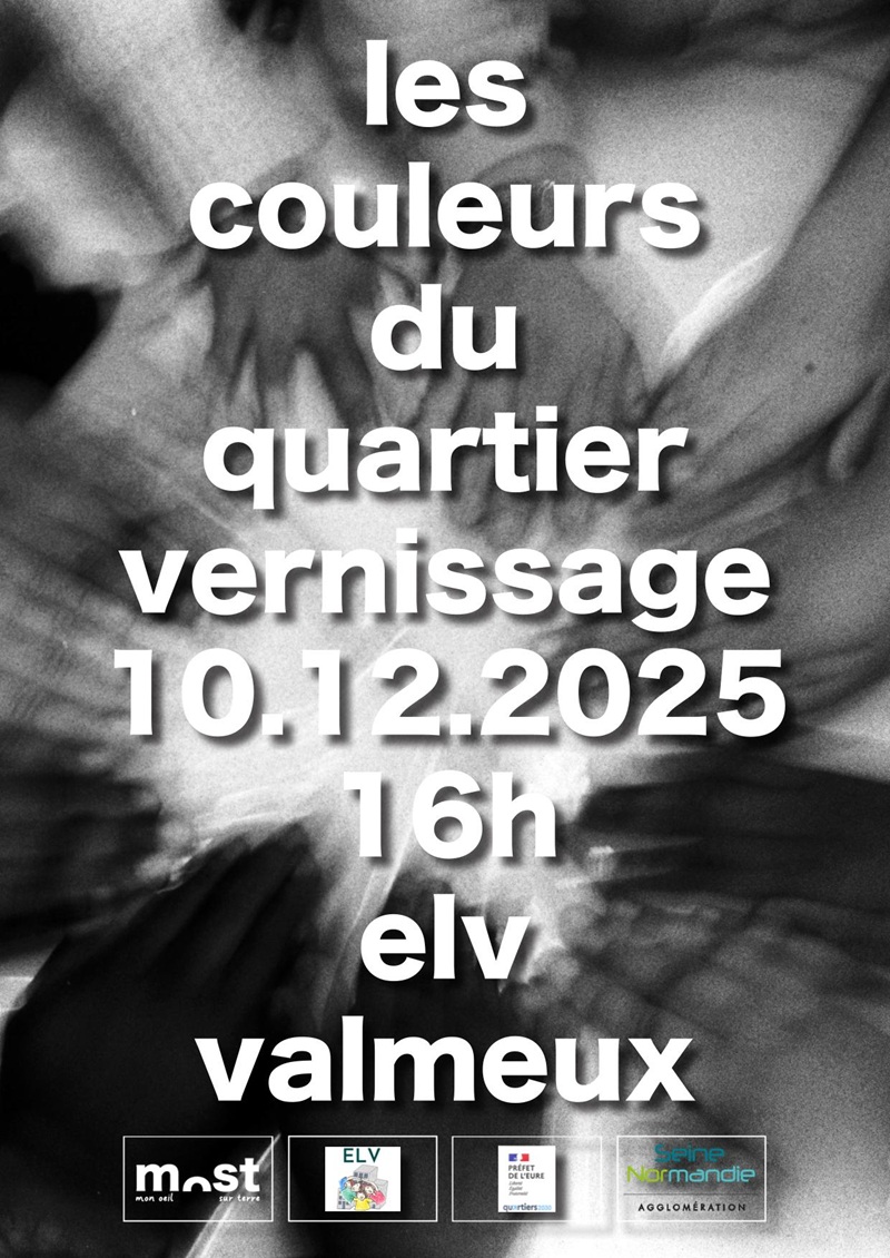 You are currently viewing Vernissage MOST « Les couleurs du Quartier » et projection du reportage DILCRAH à l’ELV le mercredi 10 décembre